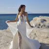 Maxima- Coming Soon! - Image 2